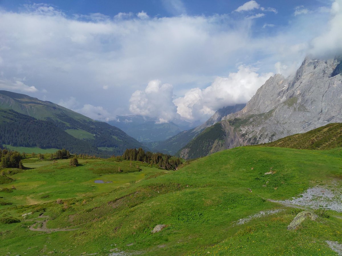 lexruee's tweet photo. Grosse Scheidegg. #MyCanyon #myswitzerland #nature #berneroberland #Switzerland #canyonaeroad #cycling #grossescheidegg #grindelwald https://t.co/puryDB7j6D