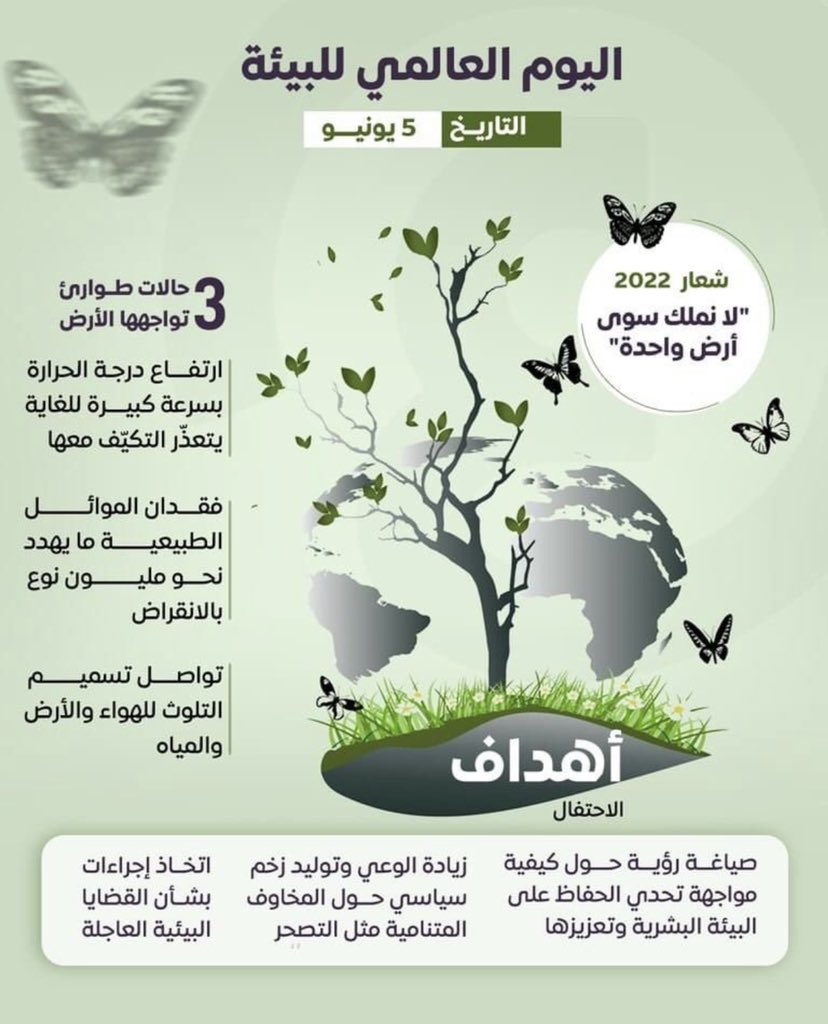 BeeA'h tweet media