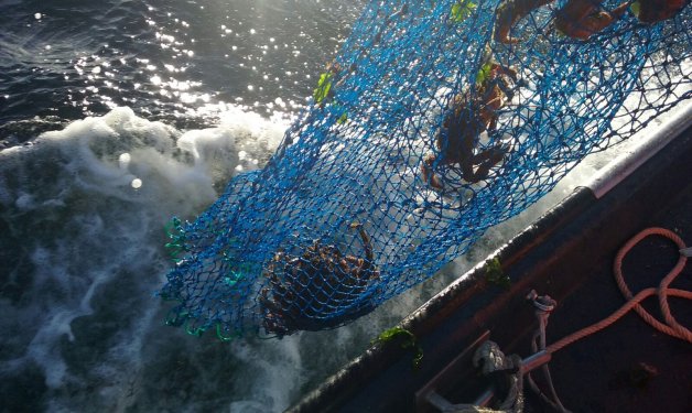 #DíaInternacionalcontralaPescaIlegal. Hoy es el Día Internacional de la Lucha contra la Pesca Ilegal, un reto que gana espacio dentro de las agendas políticas mundiales <a href="/_Opagac/">OPAGAC</a>  <a href="/MSCenEspana/">MSCPescaSostenible</a>  <a href="/OMC_es/">OMC en español</a>  <a href="/OIT_ES/">OIT España</a> 

 ow.ly/VRuv50Jp8p3