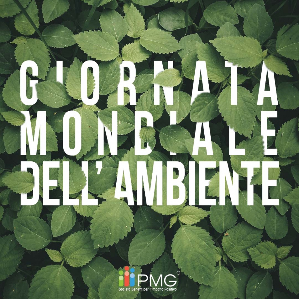 #PMGItalia da tempo ha scelto di orientare la propria progettualità ai temi della sostenibilità e alla cura dell'ambiente. Tutti i nostri progetti hanno infatti il fine ultimo di rendere il nostro pianeta una casa migliore. Perchè non c'è un Pianeta B.
Unisciti a noi nel…