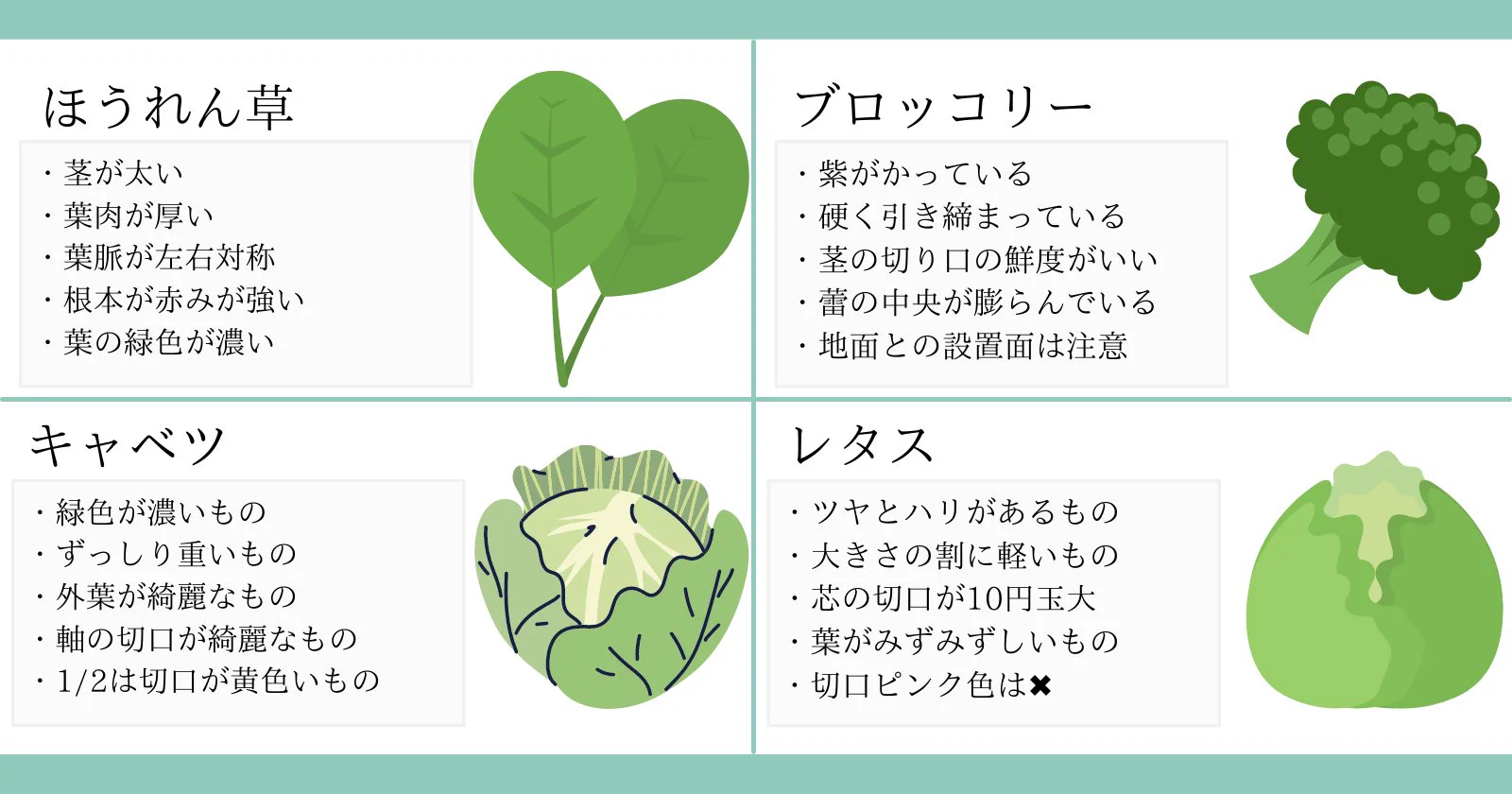 美味しい野菜は見た目で分かる！『おいしい野菜の見分け方』♪