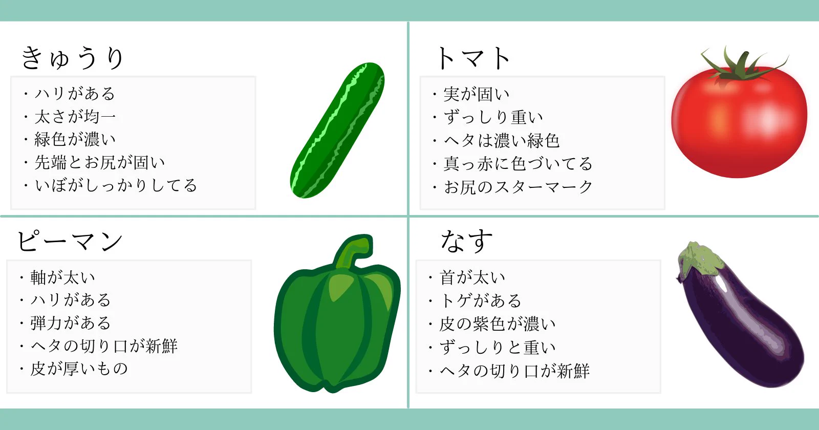 美味しい野菜は見た目で分かる！『おいしい野菜の見分け方』♪