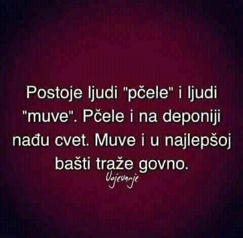 SlobaGeorgiev's tweet photo. Nedeljni komentar https://t.co/acCaLB9zVt
