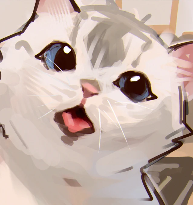 CAT! 