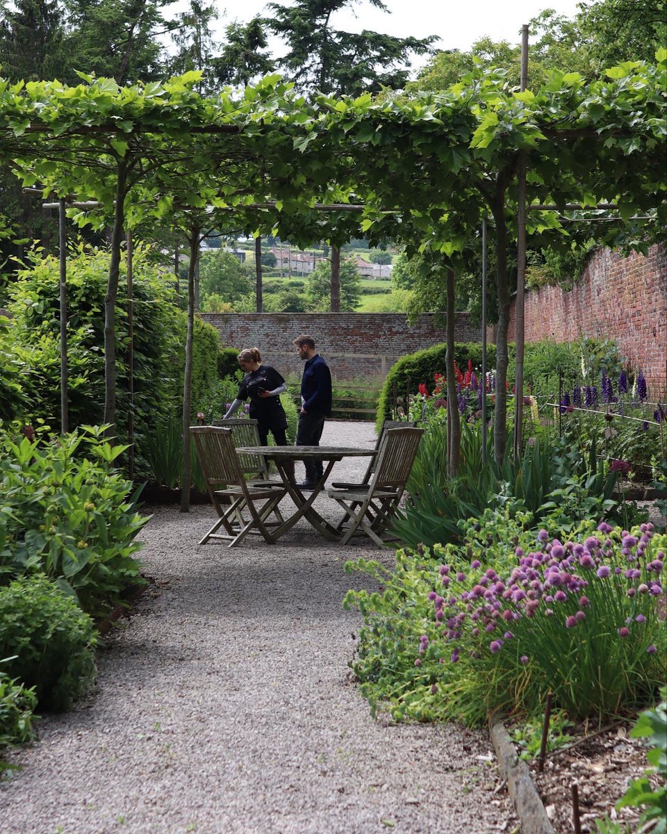 CLSWIFT's tweet image. A gorgeous visit to The Laundry Garden near Ruthin with the @NGSOpenGardens such a welcoming garden and definitely one to sit and watch the bees enjoying the planting. #thelaundrygarden #ngs #GardeningTwitter