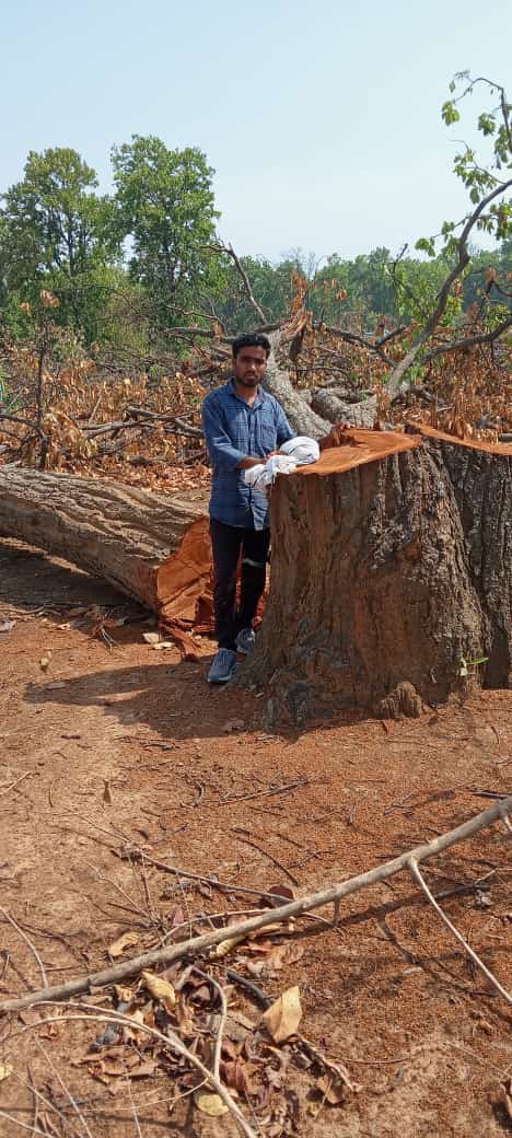 विश्व पर्यावरण दिवस पर आप सभी को प्रकृति जोहार 🙏🏻 
#WorldEnvironmentDay #Hasdeo