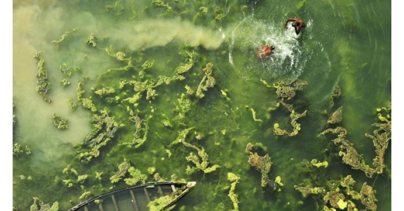 indiawater's tweet photo. Freshwater ecosystems in India are in peril. This vision document by TNC-India, FES and Ooloi labs invites you to provide your feedback and suggestions that can contribute to future actions needed to save them.

@FES_India @nature_org #freshwater #WorldEnvironmentDay