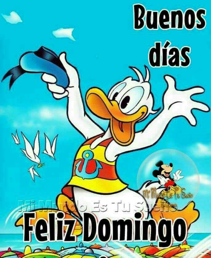 Gracias en Gracias en