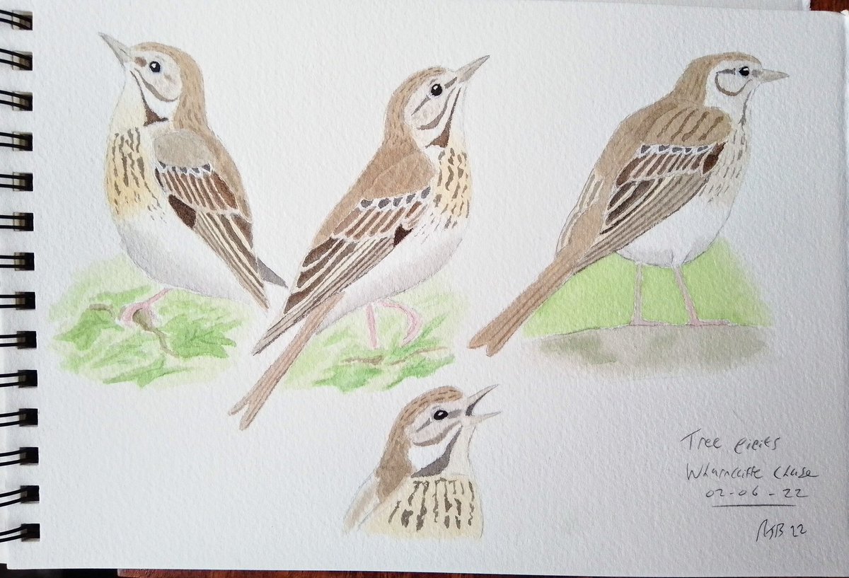 Russell Boland tweet media