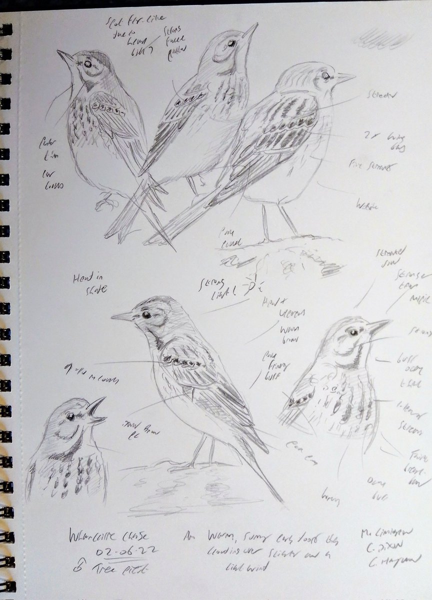 Russell Boland tweet media