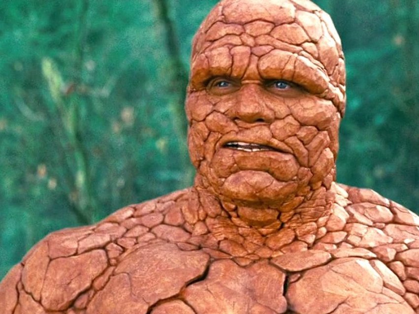 My 12 year old bat, watching me buy another roll of tape