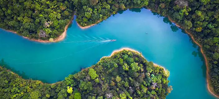 On #WorldEnvironmentDay, we have joined #CarbonCall, a group committed to developing more comprehensive and integrated emissions reporting. <a href="/EmmaHLCox/">Emma Cox</a> says: "PwC is proud to be part of this initiative as we work to… accelerate action on climate change.” pwc.to/3N9SCyt