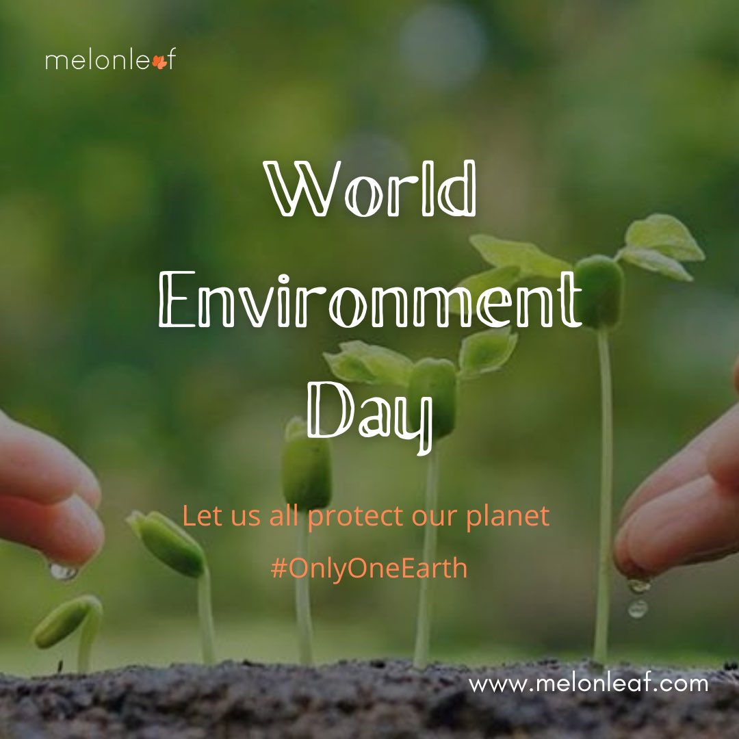 WeAreMelonleaf's tweet photo. Melonleaf Consulting wishes you a Happy Environment Day!
This year, letโs pledge to take care of our Mother Earth ๐
.
.
.
#MelonleafConsulting #Melonleaf #MelonleafTakeOff #TakeOffYear #WorldEnvironmentDay2022 #EnvironmentDay #OnlyOneEarth #June5 https://t.co/vUVJIhpygD