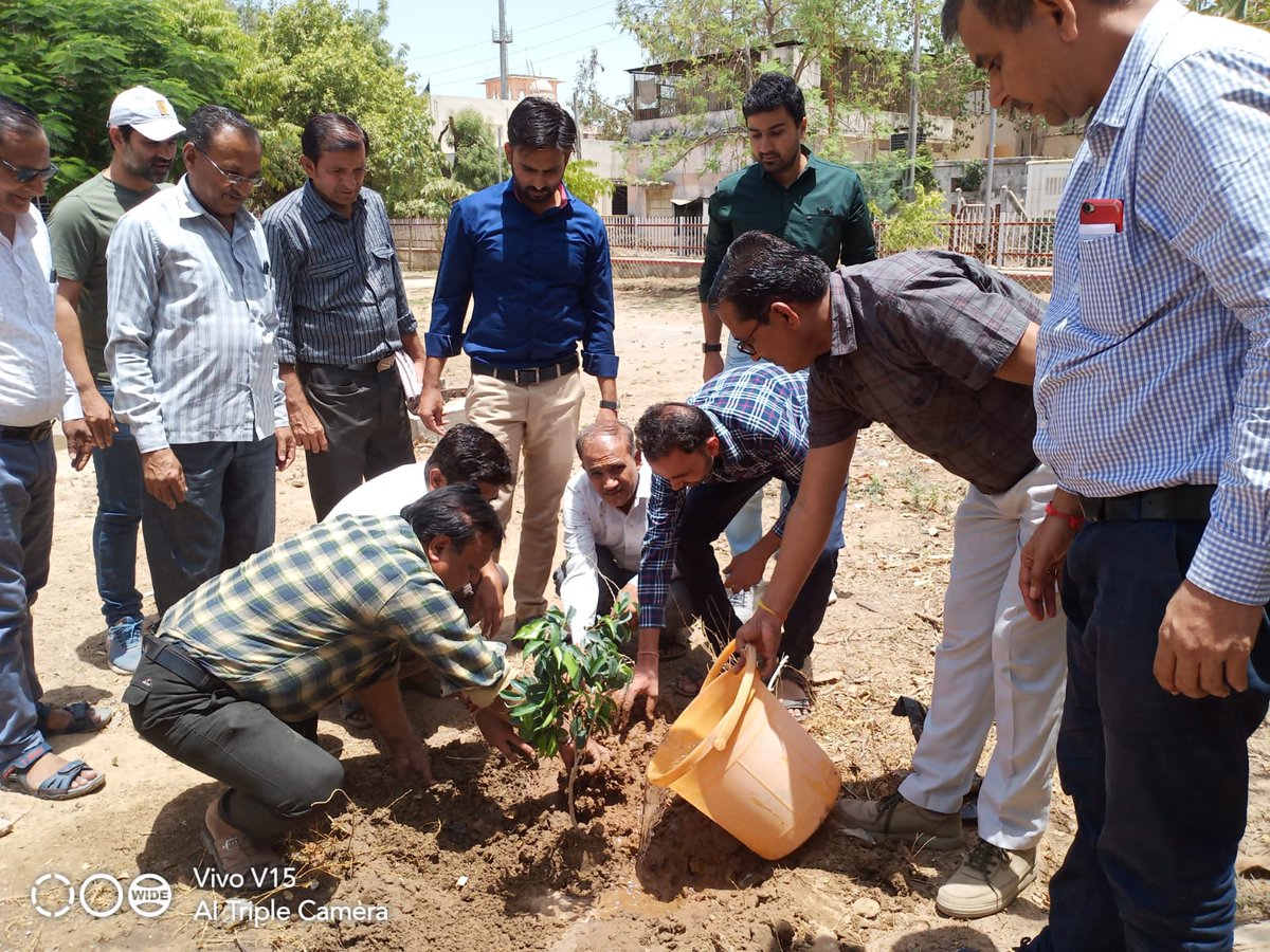 AkhaRam29387183's tweet photo. Tree plantation at Palanpur HO on #WorldEnvironmentDay
@IndiaPostOffice https://t.co/QltovUsLLy