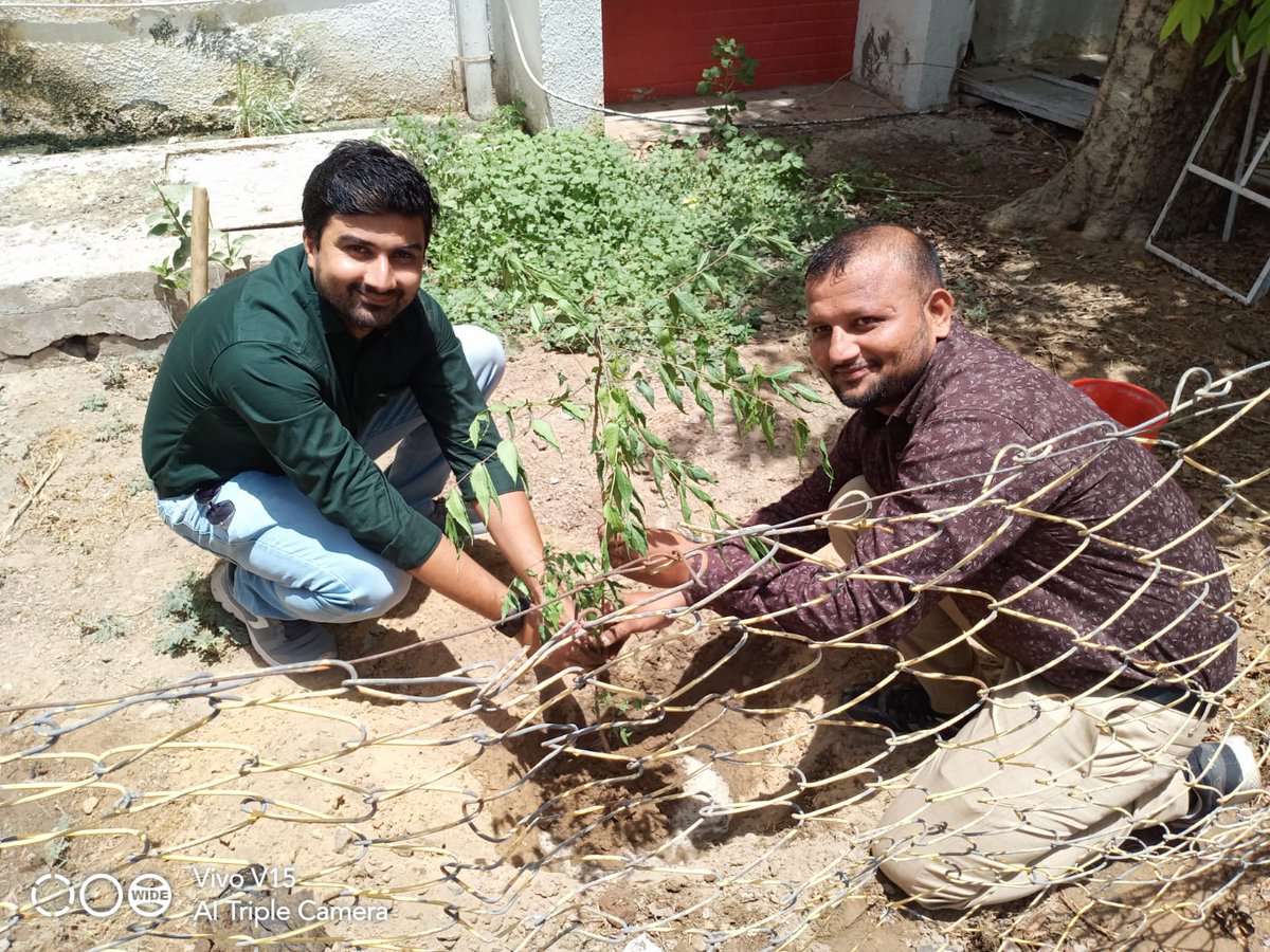 AkhaRam29387183's tweet photo. Tree plantation at Palanpur HO on #WorldEnvironmentDay
@IndiaPostOffice https://t.co/QltovUsLLy