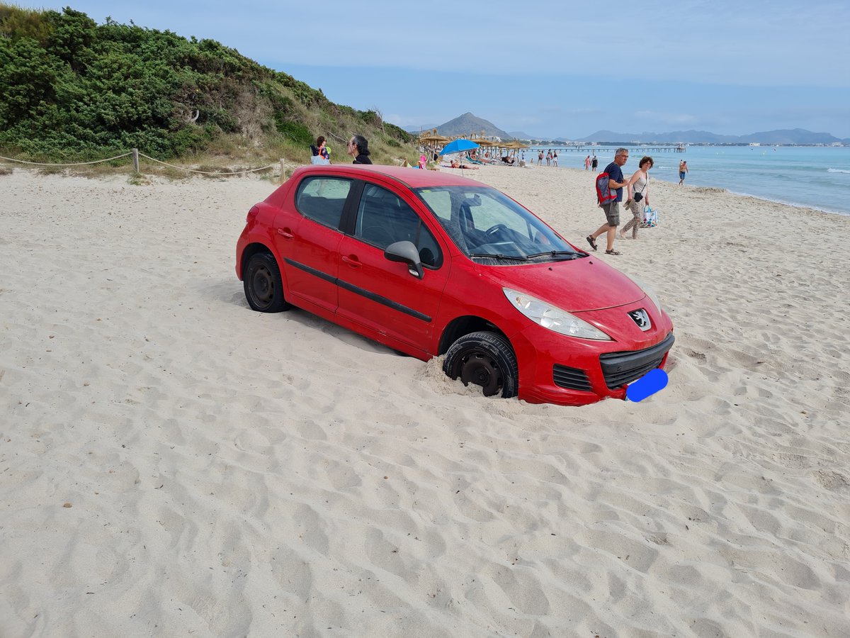 Mateu Ramonell tweet media