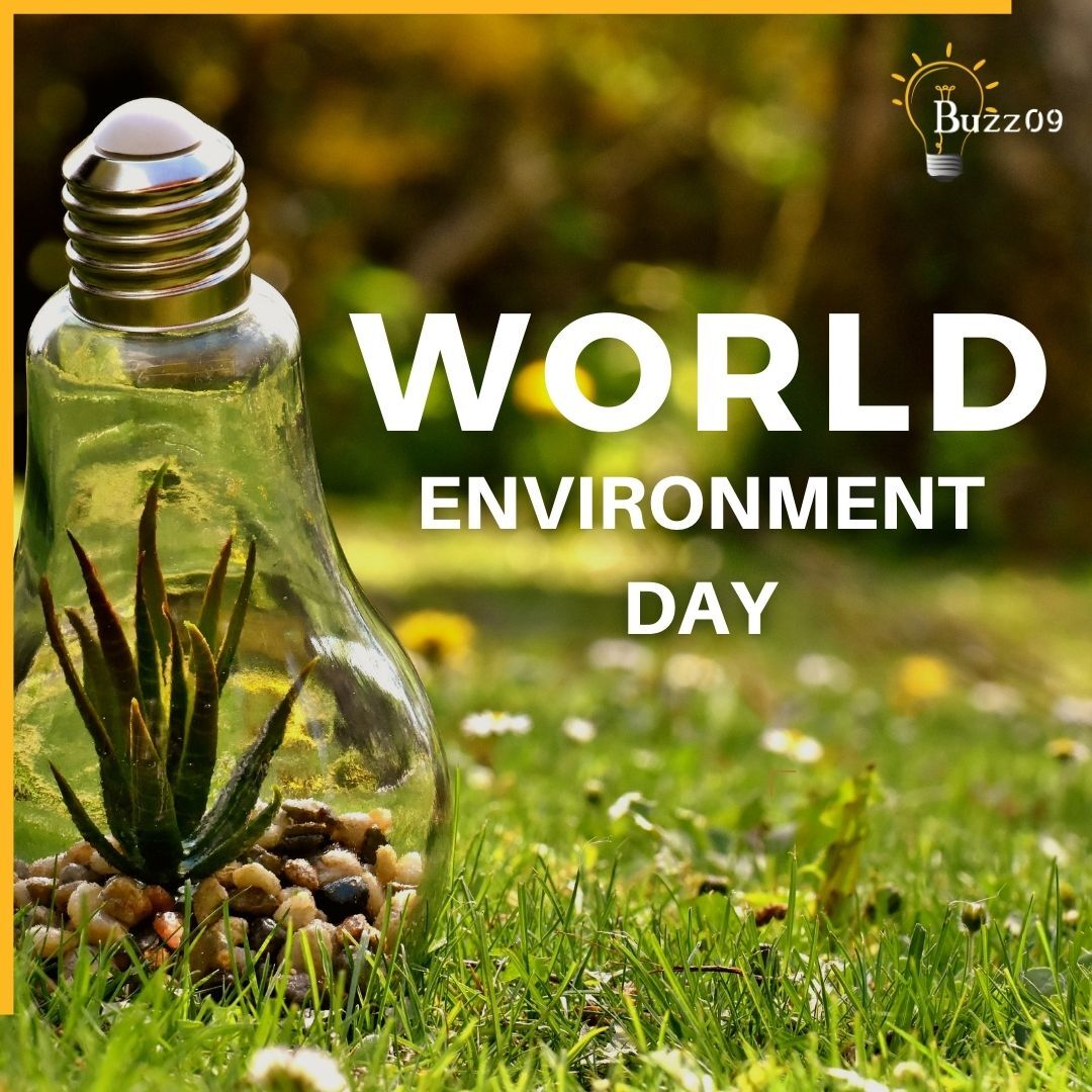 Buzz09dm's tweet photo. If we are humans, let's behave the same. Let's come together to save #MotherEarth.
Team #buzz09dm pledges to save the environment for a better future and wishes everyone Happy #WorldEnvironmentDay.

#saveenvironment #savelife #environmentday #buzz09 #digitalmarketingagency https://t.co/Xg3bfKMumk