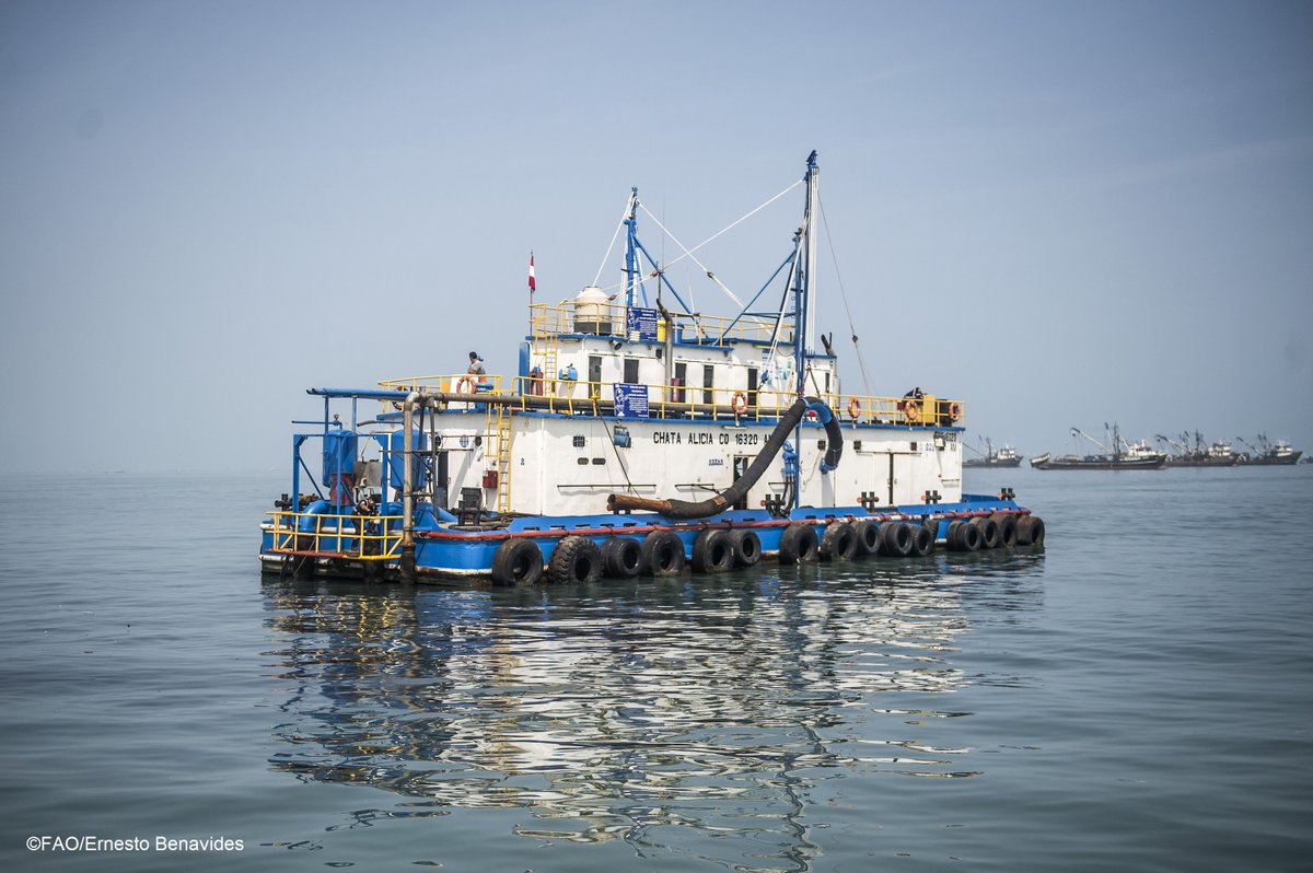 FAOMesoamerica's tweet image. 📰🎣Por una #pescasostenible en 🇵🇦 y en el mundo🌎

Te invitamos a leer en @EstrellaOnline este artículo de opinión del Sr. Embajador de la Delegación @PanamaUe, Chris Hoornaert; y el Coordinador subregional de @FAO en Mesoamérica, @ASanchesFAO.
👇
Aquí: laestrella.com.pa/opinion/column…