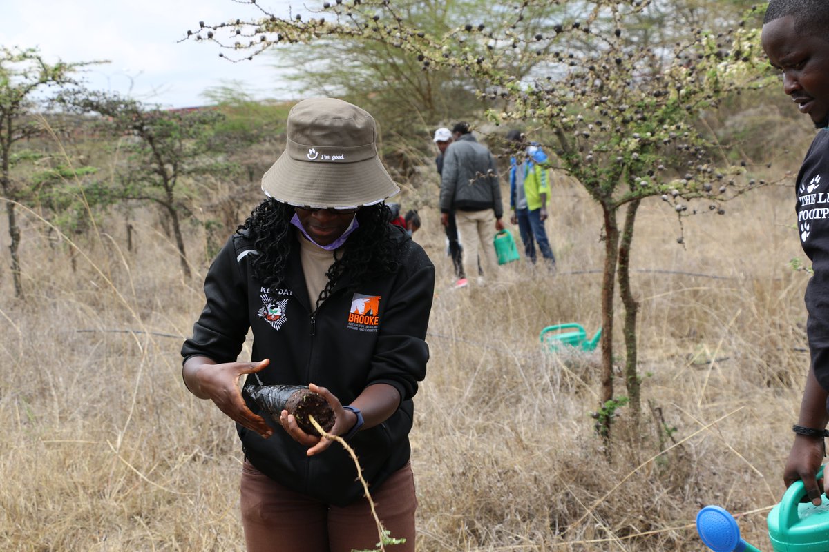 It’s World Environment Day! Let us work together to make Planet Earth a much healthier, greener, and happier place to live for both humans and animals! Our partner, <a href="/KendatKenya/">KENDAT Kenya</a>, has been participating in tree planting projects.

#OnlyOneEarth <a href="/UNEP/">UN Environment Programme</a>