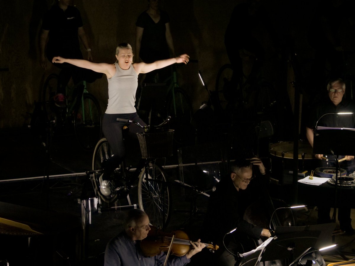 Sarah Bardwell tweet media