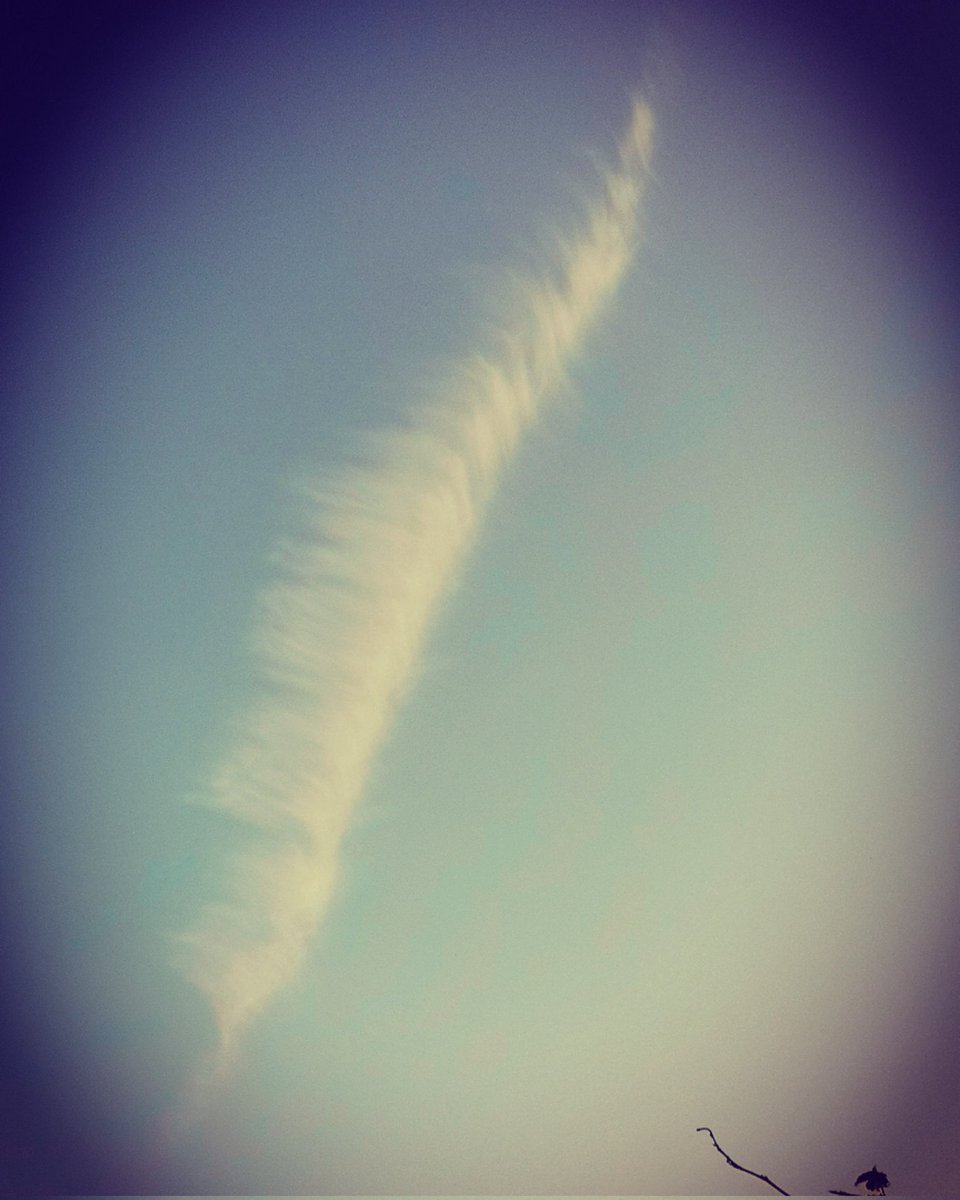 GregorEngels's tweet photo. #Federleicht in den #Tag 🥱 z. B. mit einer #Federwolke #feathercloud https://t.co/scwwrSDlTb