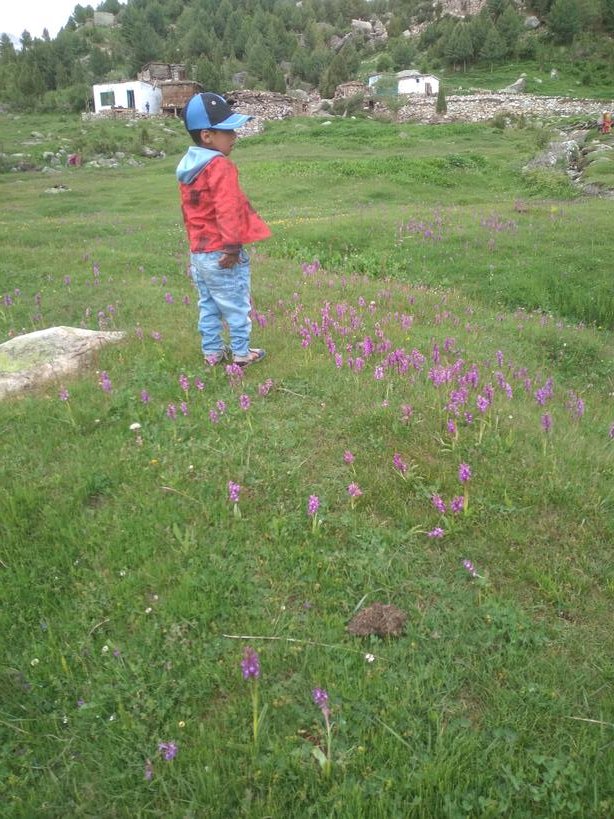 Talu Broq Valley (GB)🇵🇰 tweet media