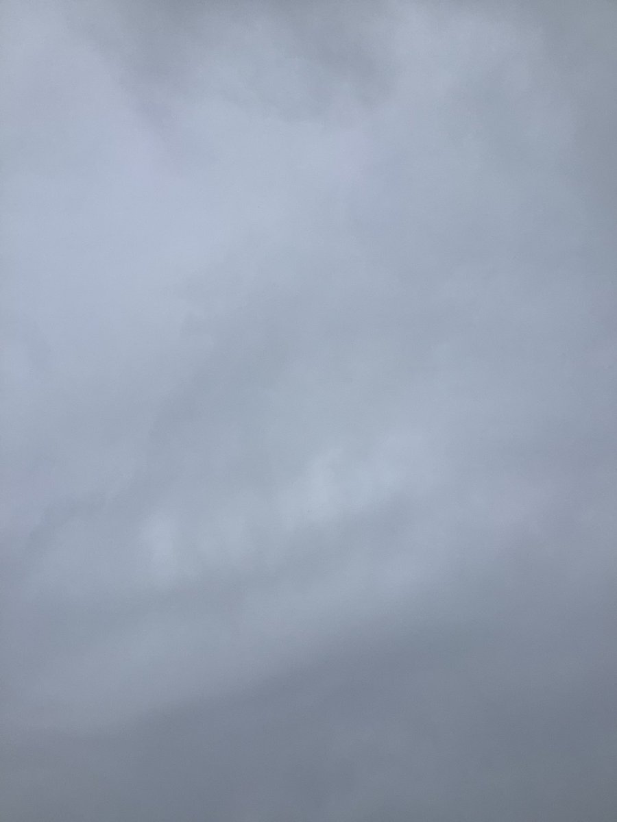 CottageMarketNB tweet media