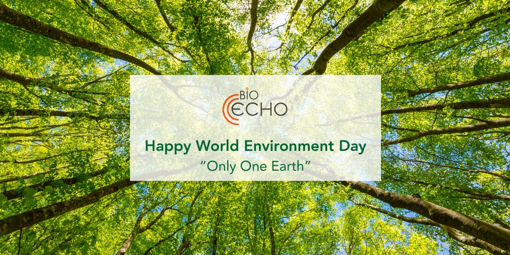 Sustainable earth. Bright future. Happy World Environment Day, everyone! 🌏
#Happyworldenvironmentday2022  #onlyoneearth #protectourplanet #earthdayeveryday #greenearth #greenworld #sustainability #sustainableliving #bioecho #lifesciences <a href="/UNEP/">UN Environment Programme</a>
