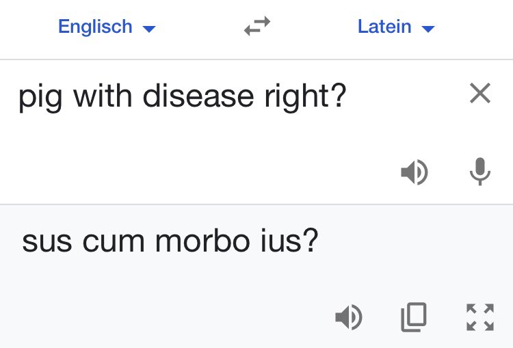 _Tamazeal's tweet image. Latin is a beautiful language