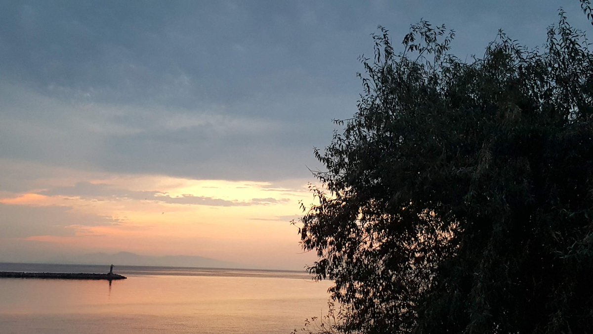 cihad_meric's tweet photo. 1- 30 yıl sonra ulaştığım #BahçeliMüstakilHayat serüvenim.
Konu ile ilgili dört yazım var meraklısı https://t.co/AqsenMJgJh adresinden okuyabilir.
Lise okumak için sahil kasabasından gurbete çıktım ve bahçeli ev bir daha hayal oldu. İlk başlarda tarım hayvancılıktan bıkmıştım. https://t.co/BDu62Npq55