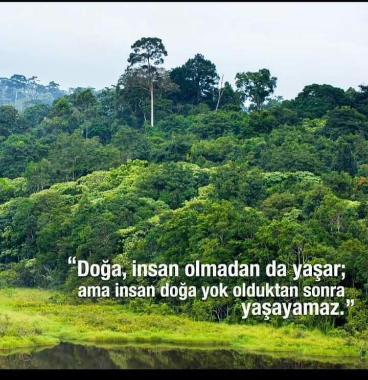 Alev85629935's tweet photo. “Yeşili görmeyen gözler renk zevkinden mahrumdur. 

Burasını öyle ağaçlandırınız ki kör bir insan dahi yeşilliklerin arasında olduğunu fark etsin.”

Mustafa Kemal ATATÜRK

Dünya Çevre Günü Kutlu Olsun.🌳🌲🌳🌲 https://t.co/Ld37hPnFOe