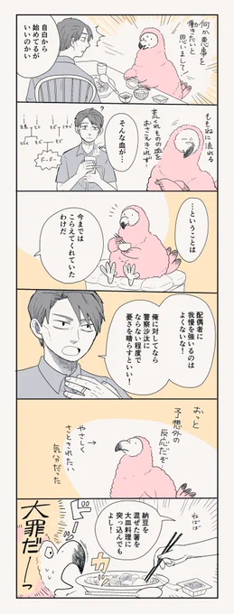 よくわからないふたり
(大皿料理は夏彦さんが作りました)
#奥さまはドードー鳥 