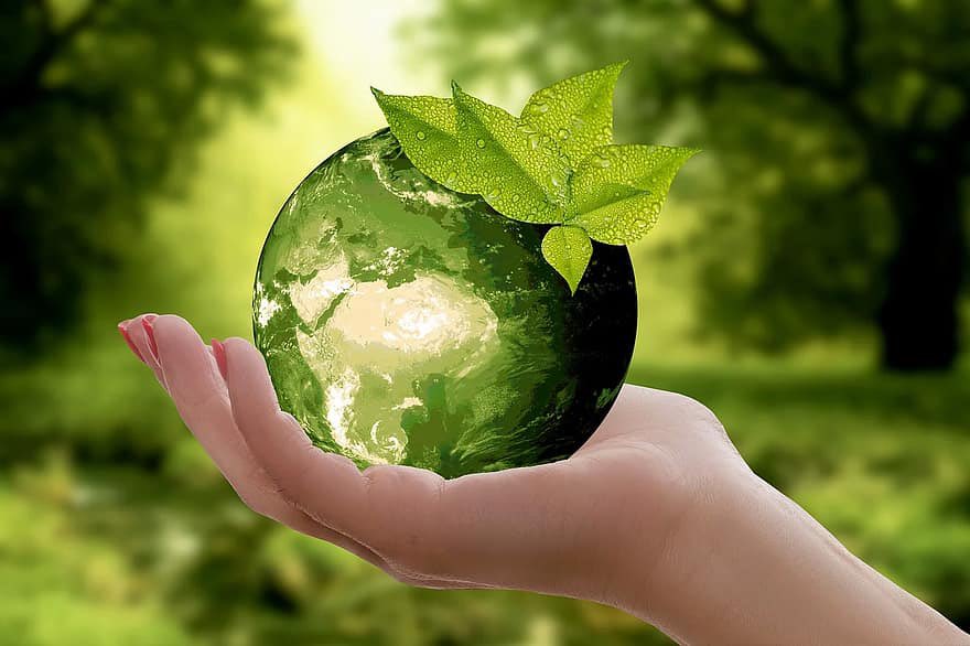 morrisondublin's tweet photo. World Environment Day Theme 2022
Every year, world environment day is celebrated with a special theme.
Theme of this year’s global observance of Environment Day 2022 is
“Only One Earth”.
#staywithconfidence #planitforward #WorldEnviromentDay https://t.co/OvMq1zKWz9