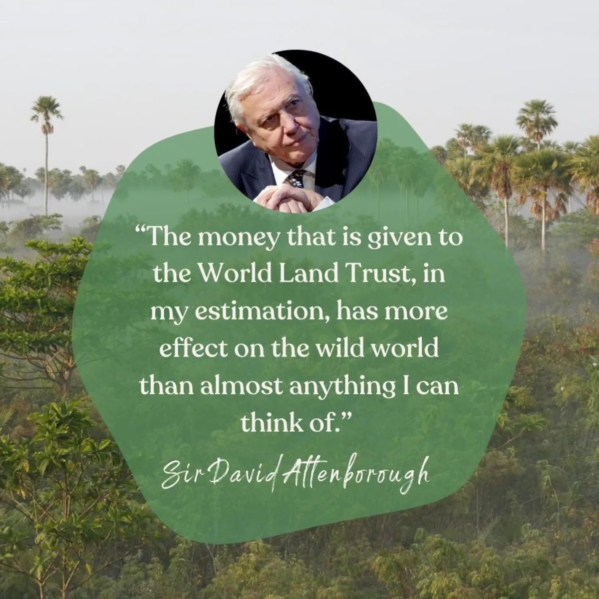 Today we celebrate #WorldEnvironmentDay 🌿 One of the things we do to help here at The Beeswax Wrap Co. is to donate to @worldlandtrust who conserve our most threatened habitats. We do this through #carbonbalanced printing. Let's all listen to Sir David 💚 #savetheplanet