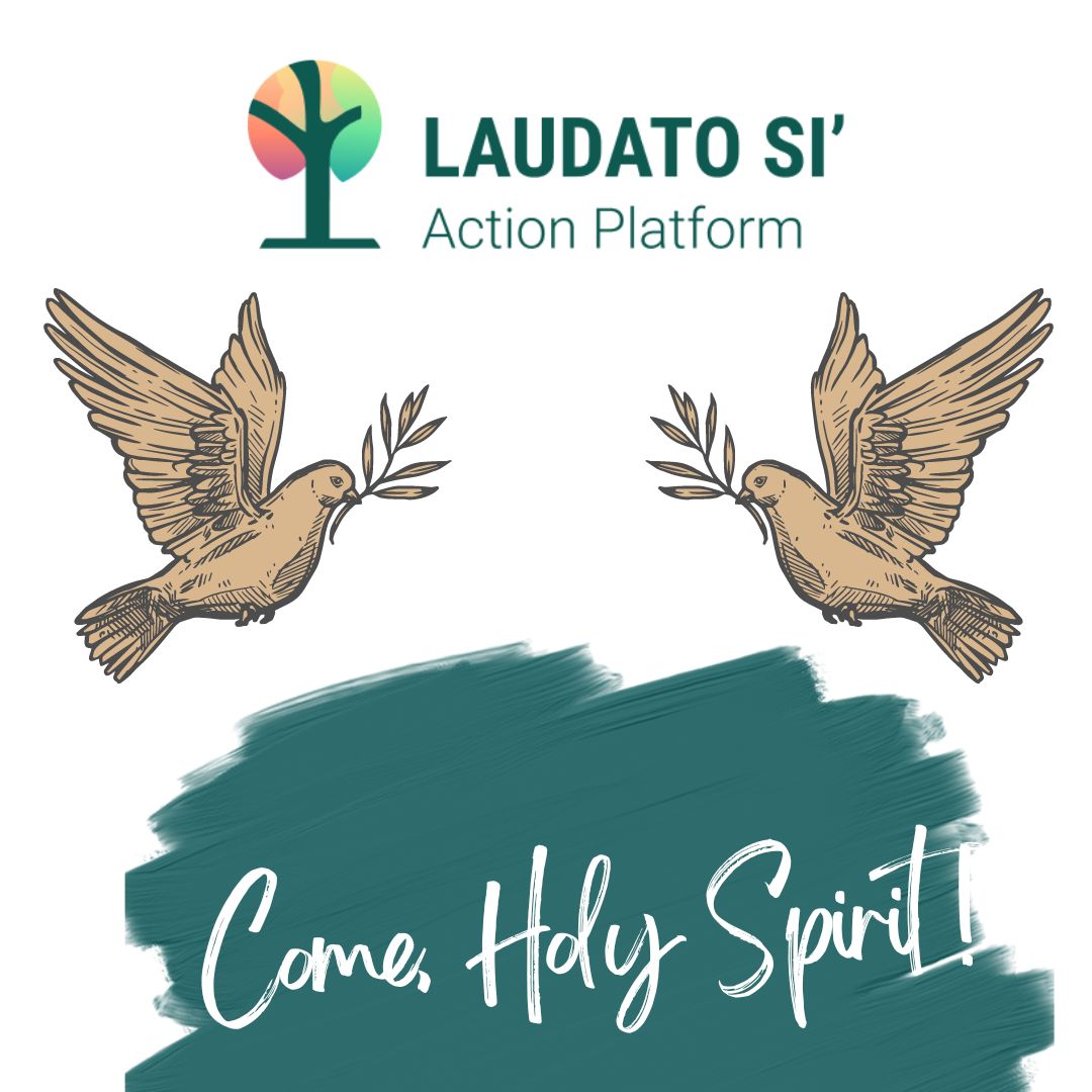 lsap_eng's tweet photo. #Pentecost is a time to reflect on the great gift of the #HolySpirit 🔥 that united the Church ✝️ This gift of unity beyond our understanding is evident in the community of the #LaudatoSi’ActionPlatform. We pray for the Spirit to unite even more. #LaudatoSi https://t.co/m2IcuqmlAO