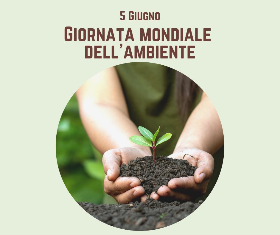 "Ogni individuo ha il potere di fare del mondo un posto migliore" (Sergio Bambaren)
#giornatamondialedellambiente #OnlyOneEarth