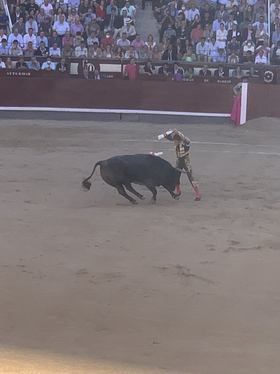 Esto es parear en la cara , de frente y por derecho <a href="/InfoMESCRIBANO/">Manuel Escribano</a>