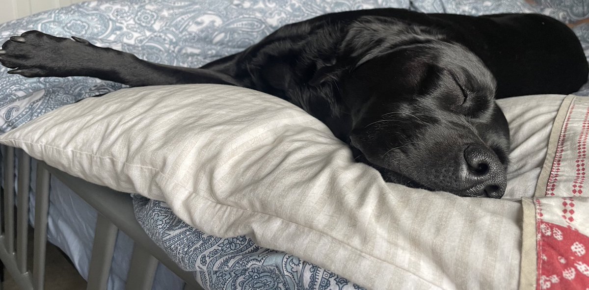 Alex Wormall - wormito.bsky.social tweet media