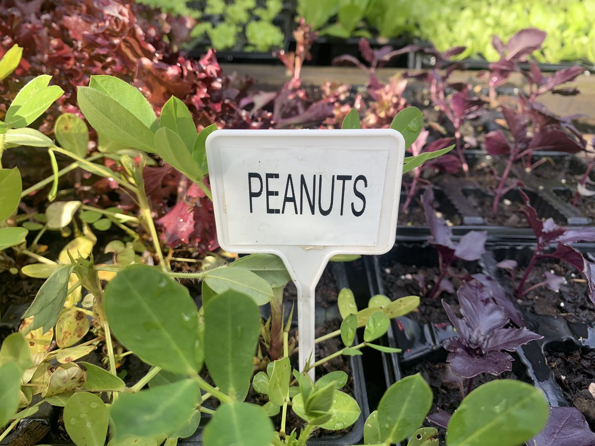 I found my 13th cheque at the nursery today.