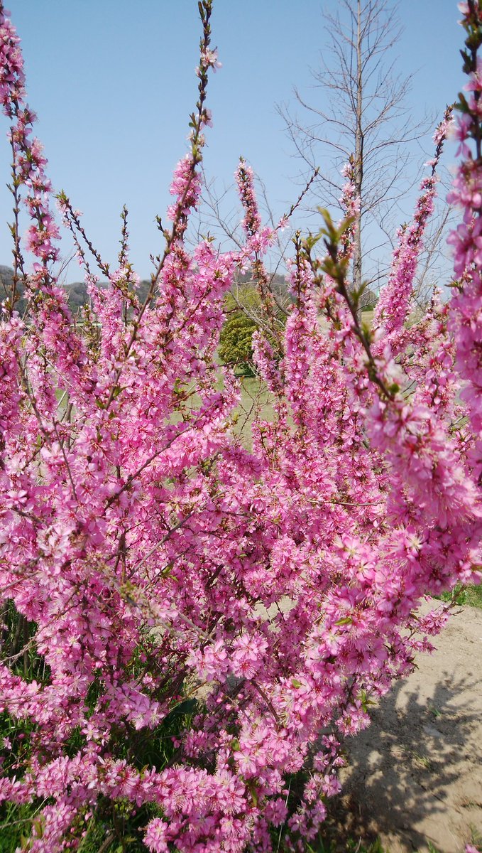 今日のテニスは楽しくうれしかった。久々に自分の力を出せた気がする、躊躇せずに思い切ってラケットを振るを念頭に…　そうしたら何が組みあったか、自分の力を出せた！精神的なものがあるなーと感じた試合だった。

女性高額収入 

 taa1341.web.fc2.com/ad3.html