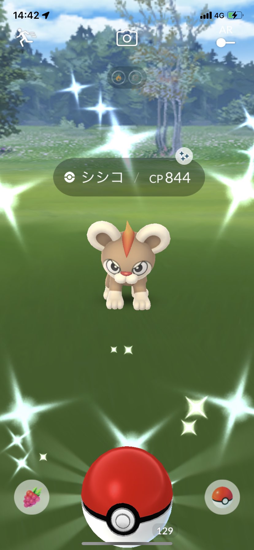 ポラリス ポケモンgo 色違いシシコ初get 嬉しい ポケモンgo 色違い シシコ T Co tfqo1utq Twitter