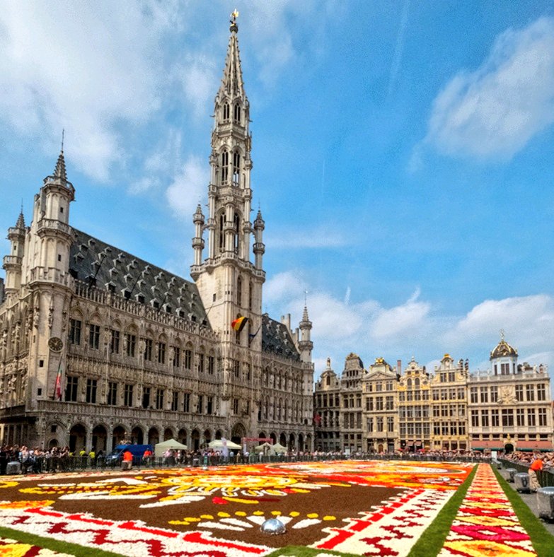 ArBelgian's tweet photo. #سجادة_الزهور تعود للنمو في ميدان #غراندبلاس #بروكسل بعد ان 
غيبتها الازمة الصحية
#TapisdeFleurs 
#GrandPlace 
يمكن مشاهدة الظاهرة بشكل مفتوح من 12 حتى 15 اغسطس بالاضافة الى حجز اضافي مدفوع لمعاينة السجادة المزهرة من الاعلى عبر
https://t.co/XlxR8Jv2TH
#Brussels #Belgium #Belgique https://t.co/AUFUCQS8N5