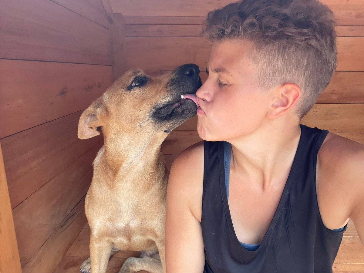 😘 Sunday smooches 😘

#DogKisses #LoveAnimals #SundayFeels