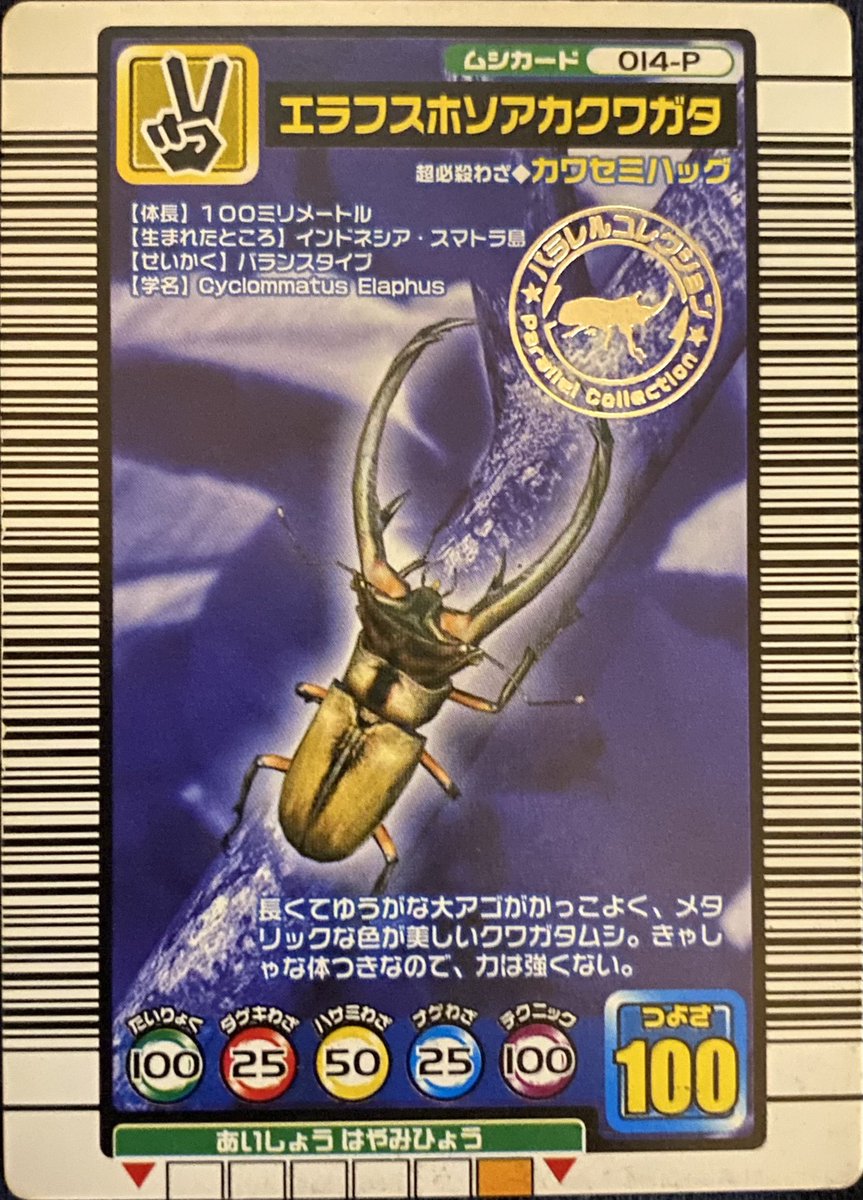 30.エラフスホソアカクワガタ 旧ムシキングでは古くからいた古参の甲虫