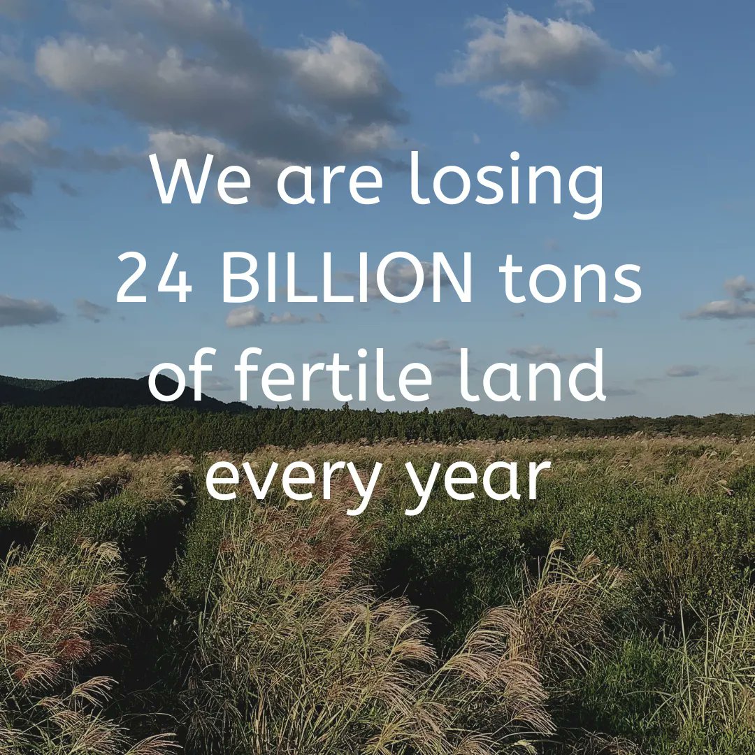 WildOrchardTea's tweet photo. Time is running out to heal the planet we share. 

Join the effort by switching to products that not only do less damage to the planet, but UNDO some of the damage already done! https://t.co/qlFQ9NrZ74