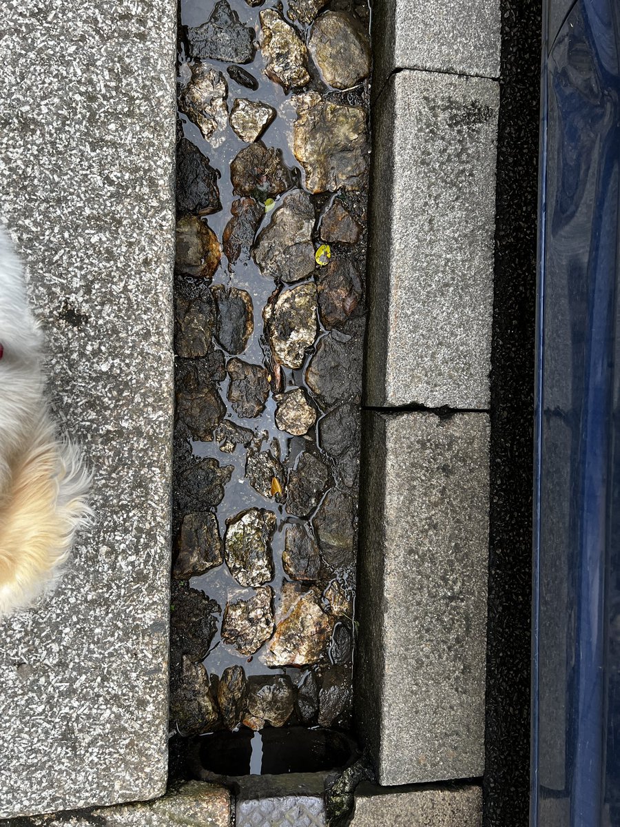 Overnight rain tidies up Helston
