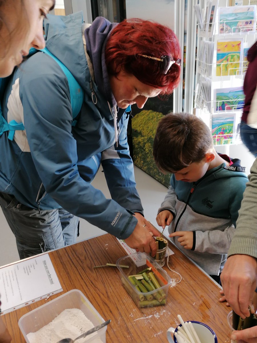 NorthamBurrows's tweet photo. We had great fun creating homes for nature with local and visiting families and @NDevonBiosphere at our wildlife gardening event this week. Check out ‘buggingham palace’ next time you visit the Burrows. #wildlifefriendlygardening https://t.co/KPJMXqV0BC