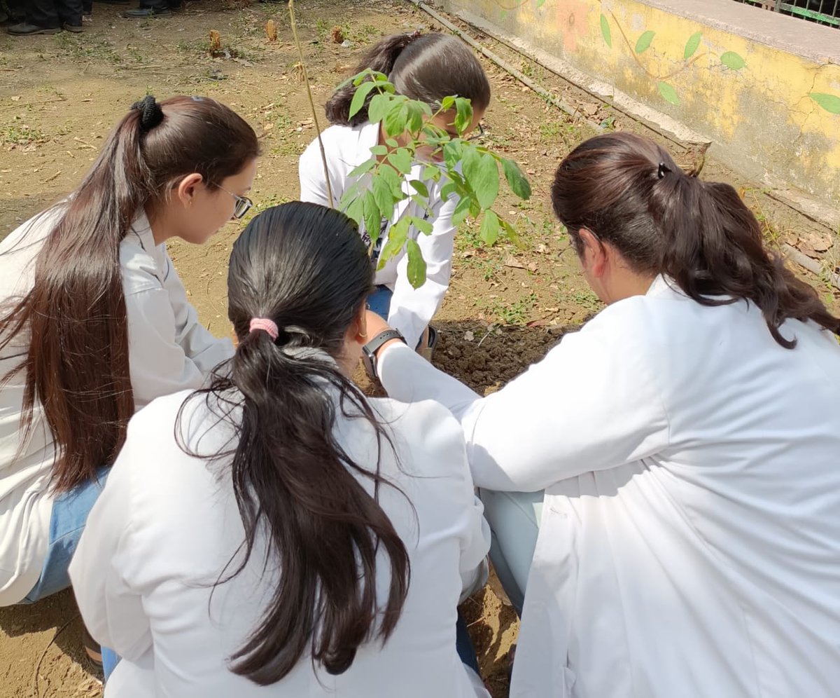 ApoorvaKhanduja's tweet photo. World Environment day celebrated at our college by @ChattisgarhJda 
#WorldEnvironmentDay #OnlyOneEarth 
@DrPremChoudhar1 @amannishaniya @RVaishnavi24 https://t.co/TSxuA6X8Ex