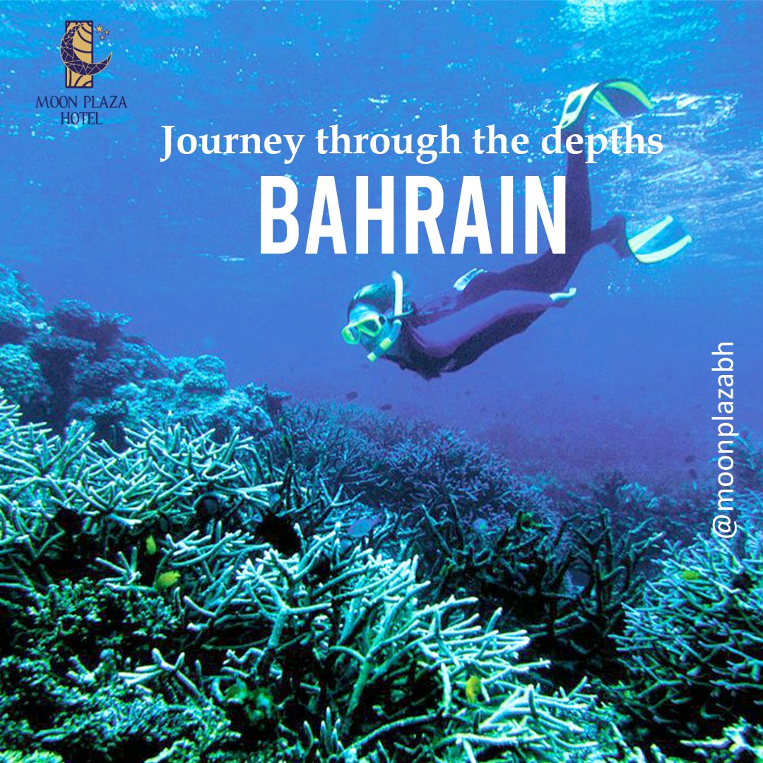 moonplazabh's tweet photo. Explore the waters of Bahrain, get a chance to explore its depths 
#divingtrip #pearldivingbahrain #pearlbahrain #waterdepths #divingtrip #bahrain #lifestyle #tourism #oursyoursbahrain #saudiarabia #taprobanebh #moonplazabh https://t.co/M8hkWRjry3