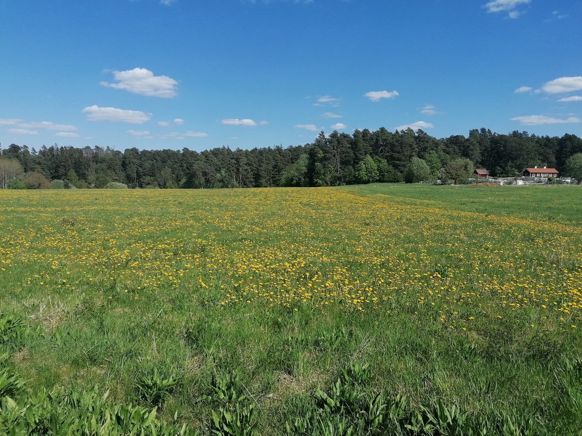 Feliz #DiaMundialDelMedioAmbiente ojalá sirva para agitar conciencias y contribuir a la protección del planeta #OnlyOneEarth
